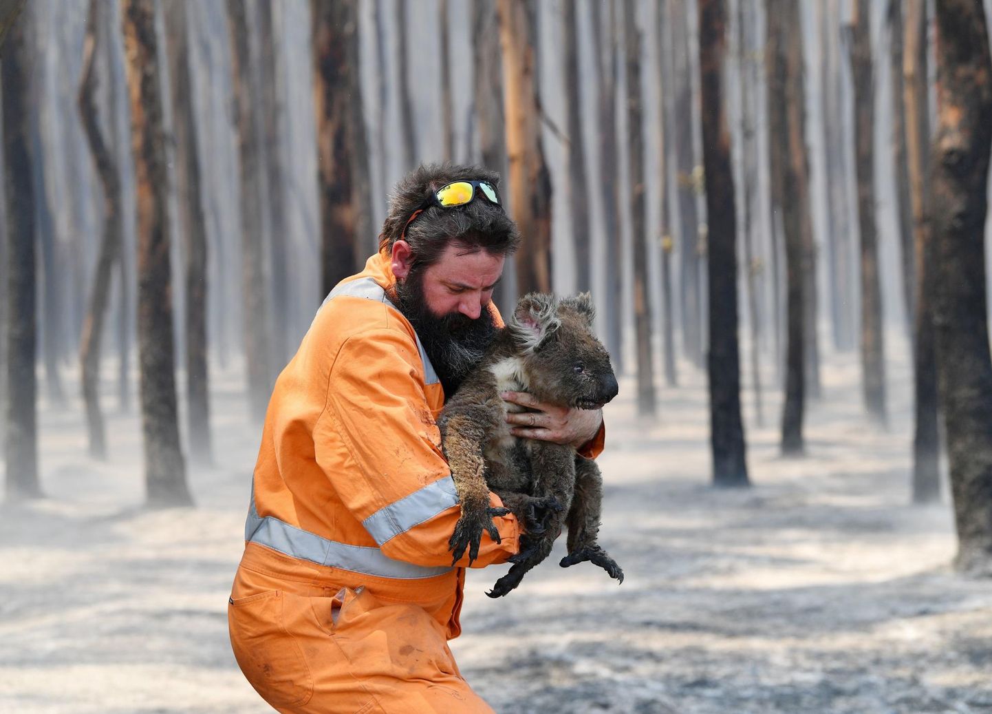 Devastating fires in Australia.