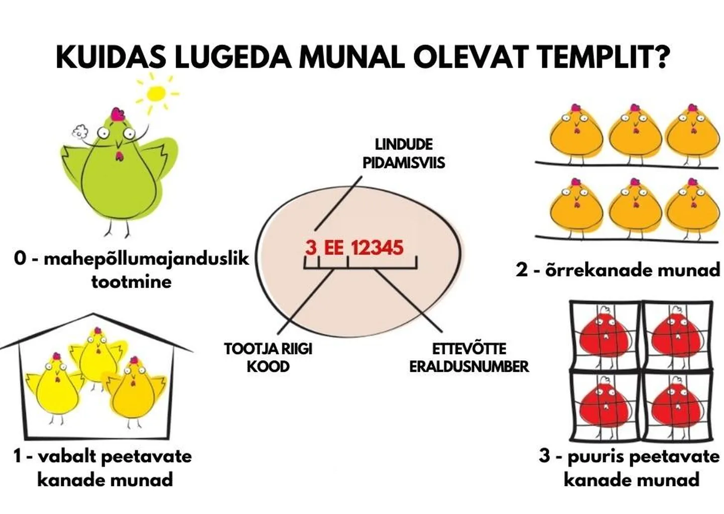 Templi pealt saab välja lugeda, mis riigist ja millistes tingimustes elavalt kanalt on muna pärit.