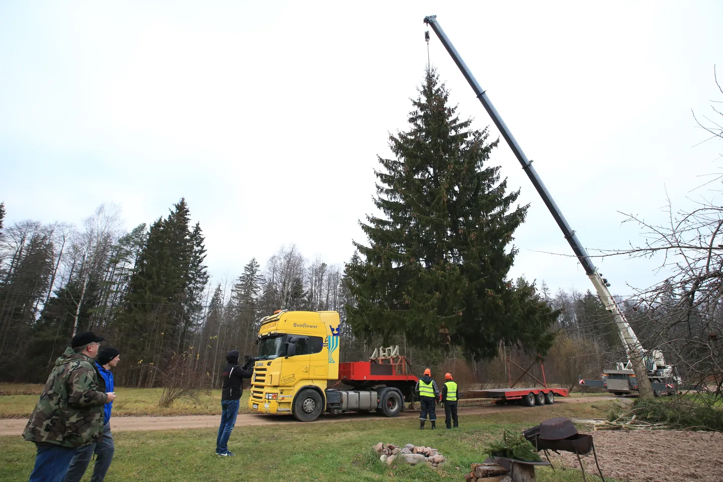 Kaks aastat tagasi tuli jõulukuusk Tartu linna Järvseljalt.