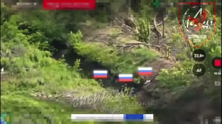 На этом кадре из российского видео показан участок границы между двумя областями, которую якобы пересекли российские военные