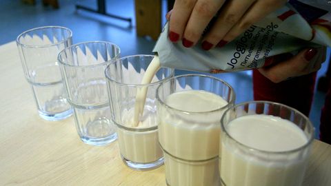 Linnapiimatooted toovad piimast suuremat tulu