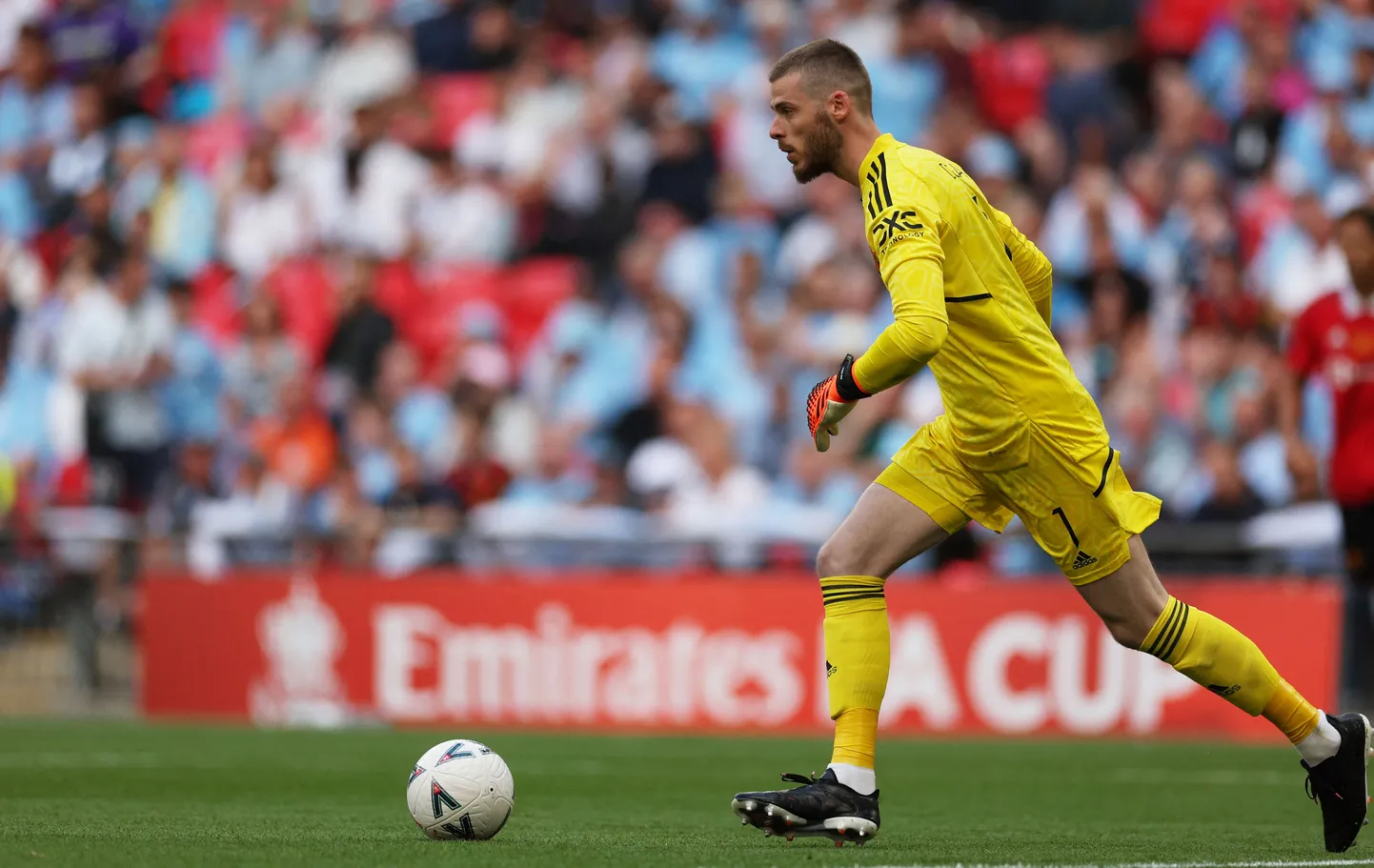 David de Gea.