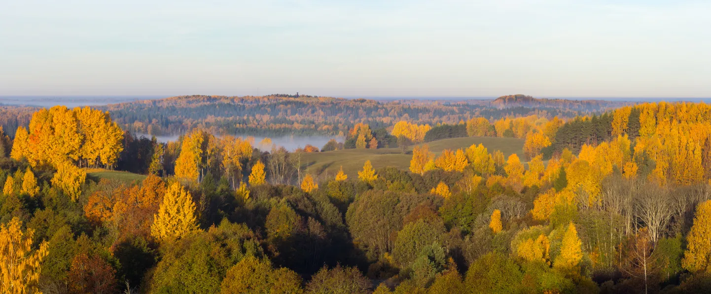 Kolletav Karula rahvuspark oktoobris. Vaade Mähkli vaatetornist.