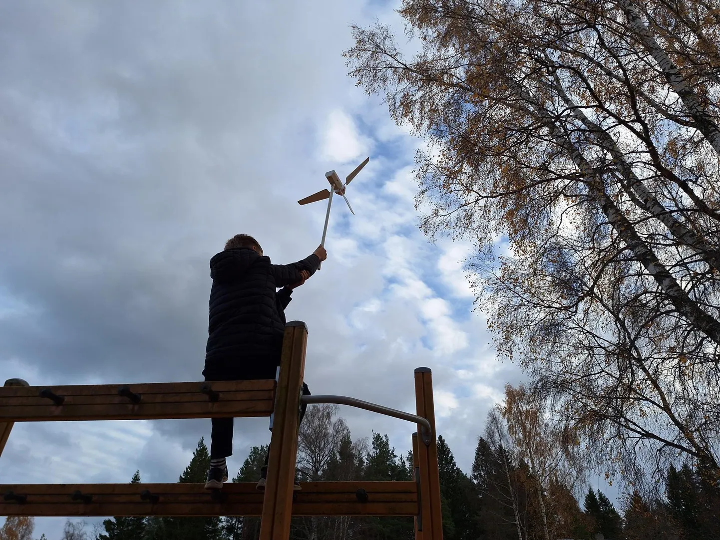 Hiiumaa Lauka põhikooli 8. ja 9. klassi õpilased, kes osalevad programmis Globe – see on ülemaailmne õpilastele mõeldud uurimuslikku õpet ja praktilist tegevust pakkuv haridus- ja teadusprogramm. Näiteks sellel fotol otsitakse asukohta, kus tuul on piisavalt tugev, et tuuliku abil telefon laadima hakkaks.