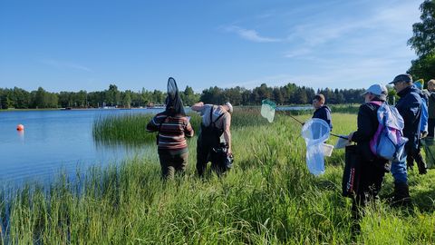Tänavusel loodusvaatluste maratonil leiti Eestis kaks uut liiki