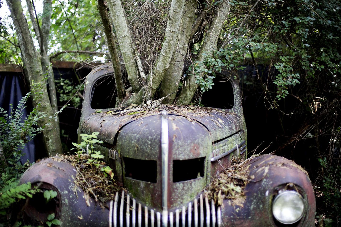 Old Car City USA vanade autode surnuaed