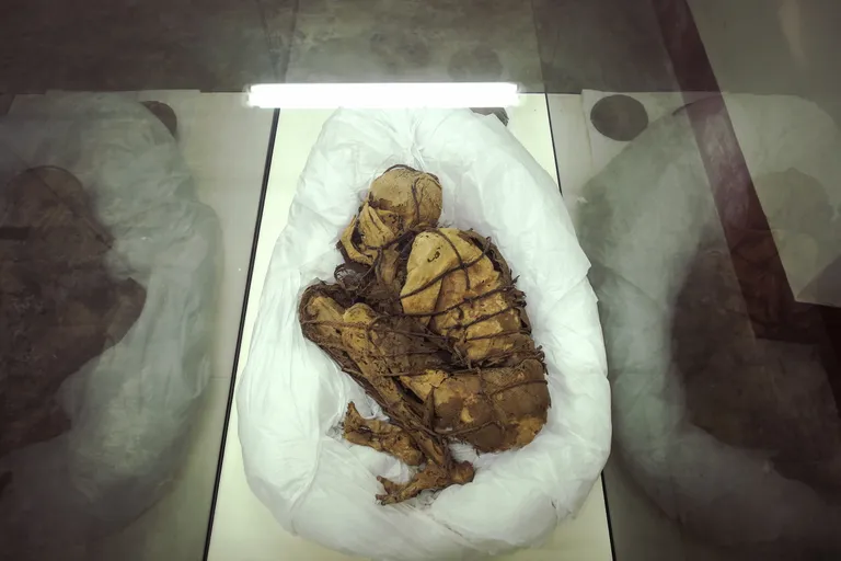 Cajamarquilla muumia on Lima San Marcose ülikooli muuseumis näitusel