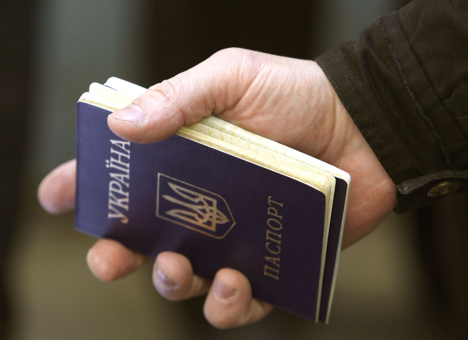 Ukraina pass