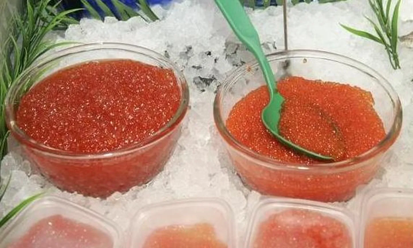 Uuring: kalamarja rasvhapped on kasulikumad
