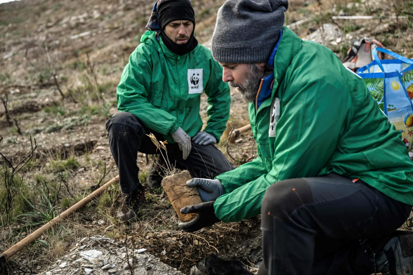 WWFi Kreeka haru eksperdid välitöödel