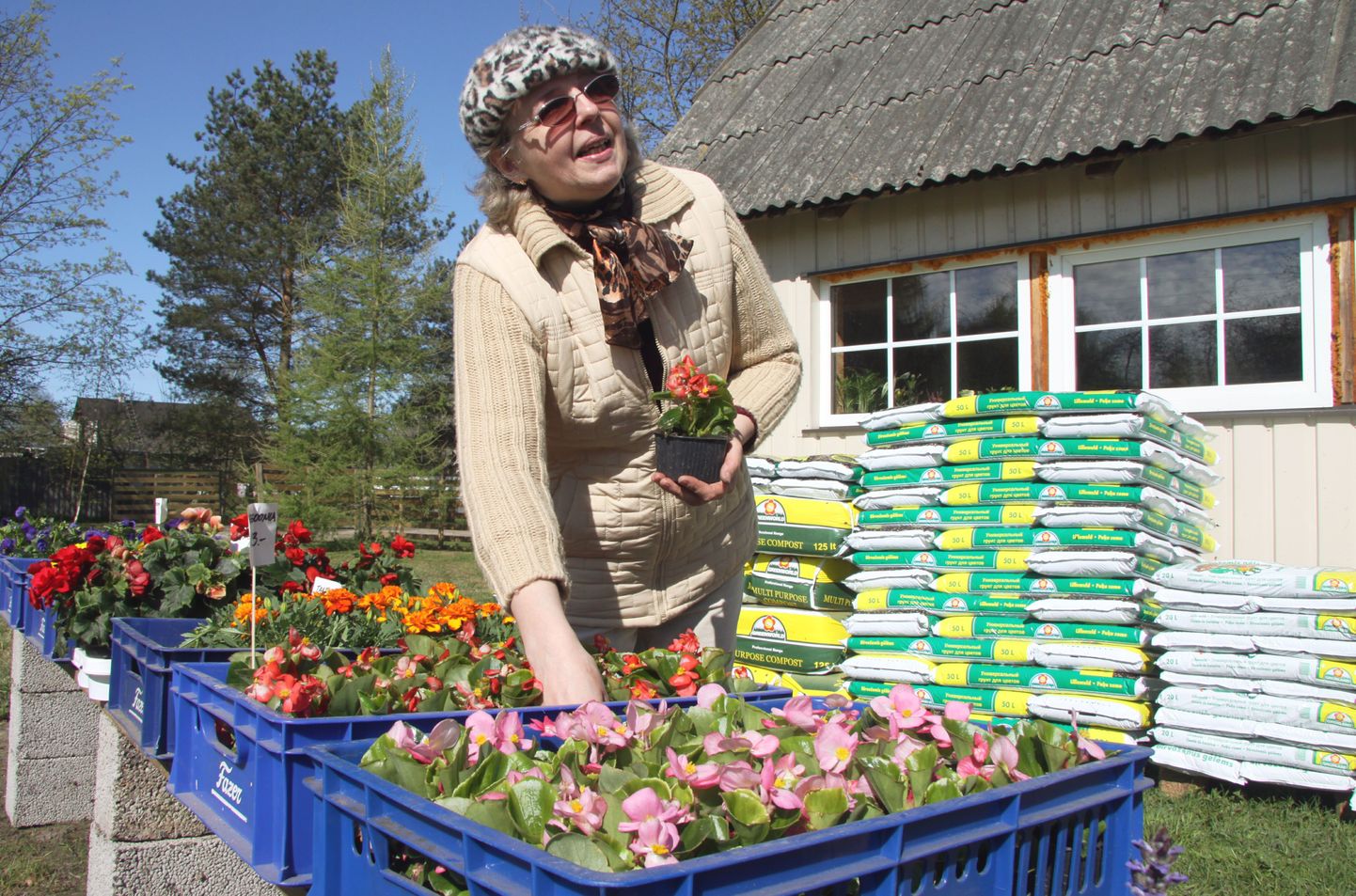 Tammistes laupäeval aianduskaupluse avanud Aili Kirsimäe on oma lillepoest unistanud üle kümne aasta.