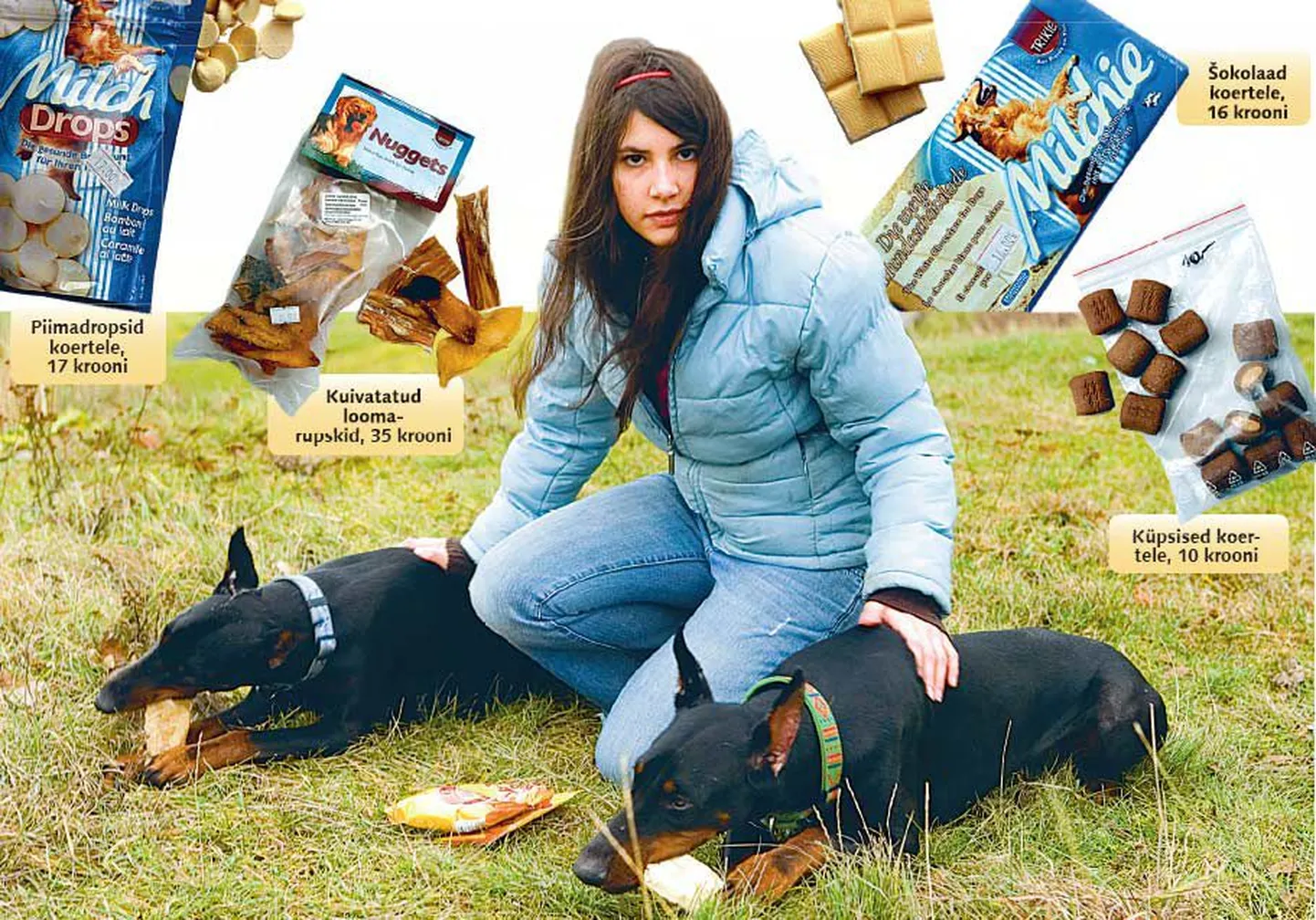 Hanna-Maria Zeilanova dobermannid Miia ja Devvu saavad närimiskonte siis, kui tuleb üksi koju jääda ning maiustusi treeningutel.
