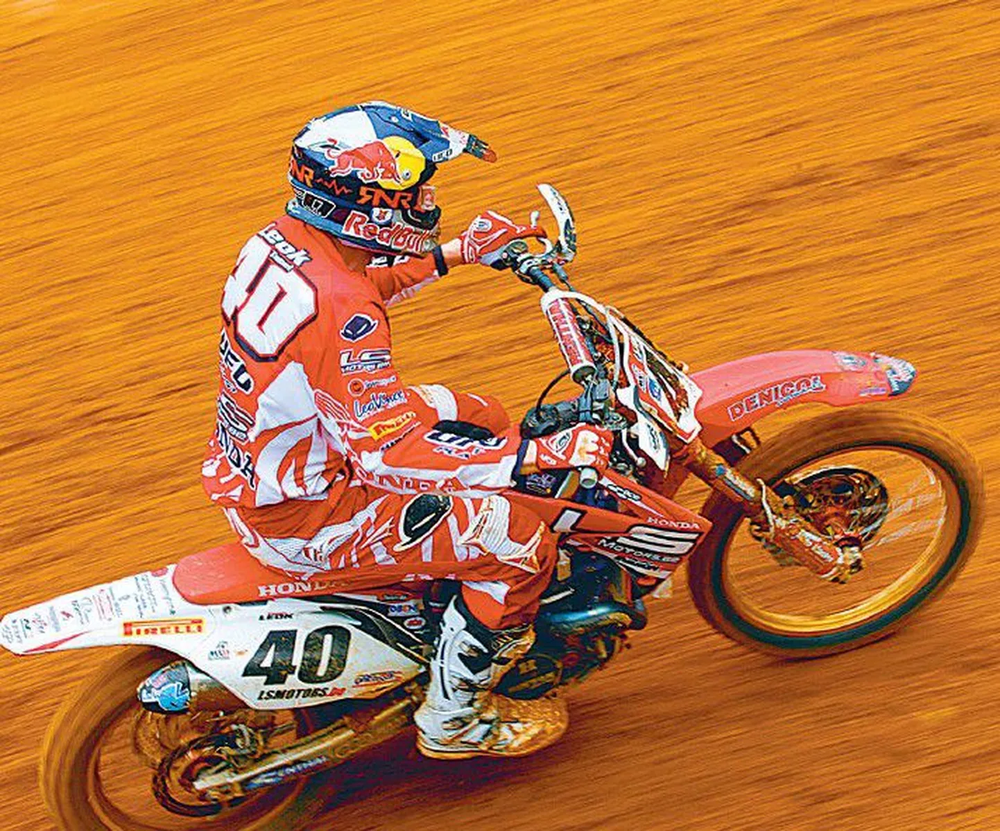 Tanel Leok