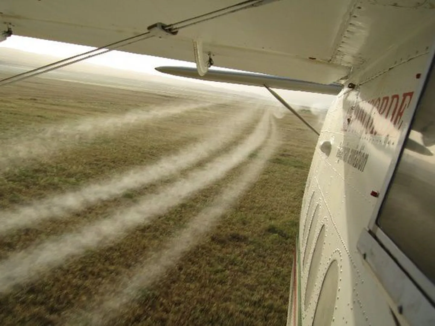 Transpordilennuk An-2.
