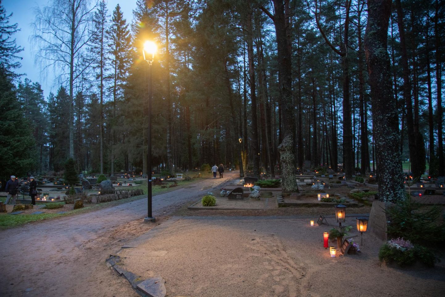 Viljandi Metsakalmistu sai uued valgustid, mis särasid juba jõulude ajal.