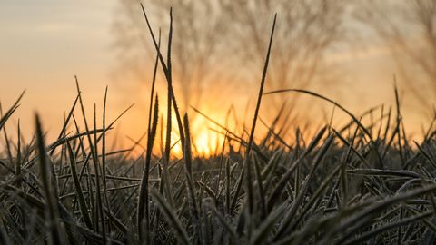 В ночь на среду воздух в Латвии в некоторых районах остынет до -3 градусов