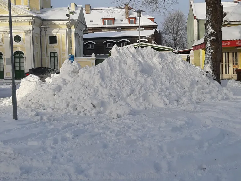 Skulptor Rait Pärg annab Vabakooli õpilaste abiga eile Pärnus Lasteparki toodud hiiglaslikule lumehunnikule uue nädala alguseks kärssnina kuju, sest Hiina kalendri järgi algab teisipäeval kollase sea aasta.