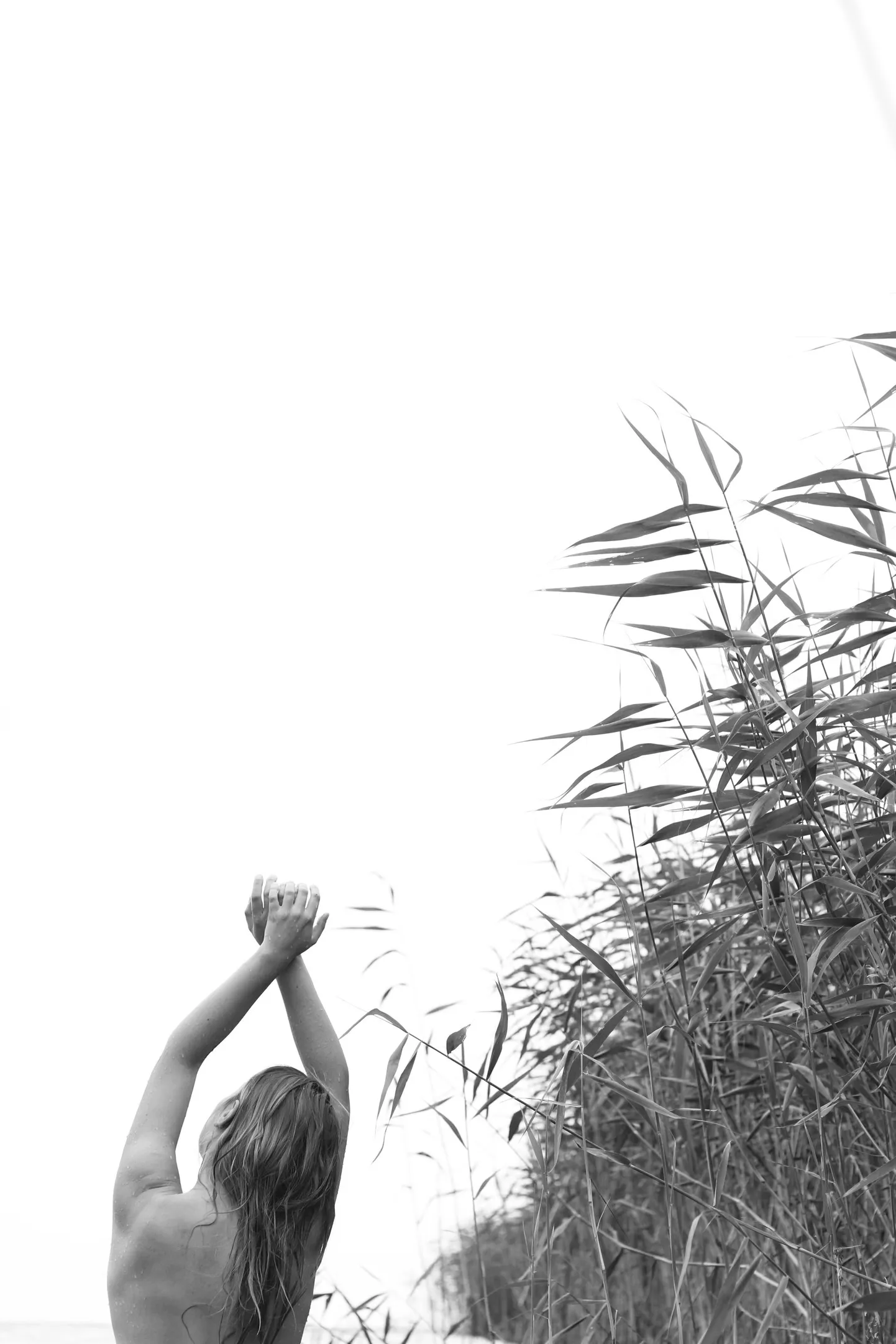 Go Away Bird «Late Summertime»