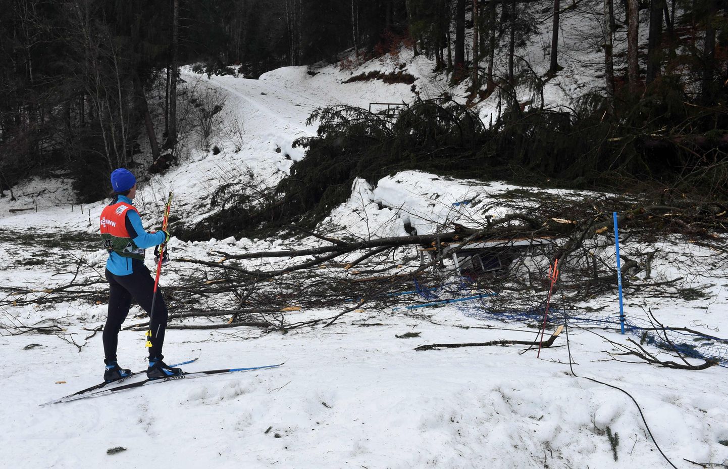 A skier looks at fallen trees before the sprint classic style event of the "Tour de Ski" Cross Country World Cup, that was cancelled afterwards because of stormy weather, on January 3, 2018 s in Oberstdorf, southern Germany. / AFP PHOTO / CHRISTOF STACHE