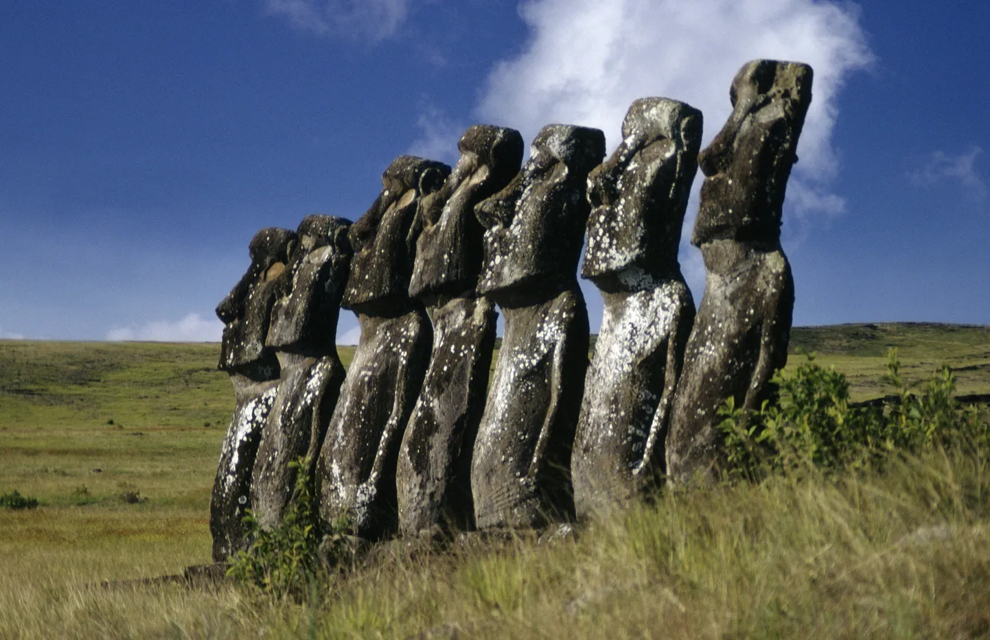 Lihavõttesaare (Rapa Nui) kuulsad Moai kujud