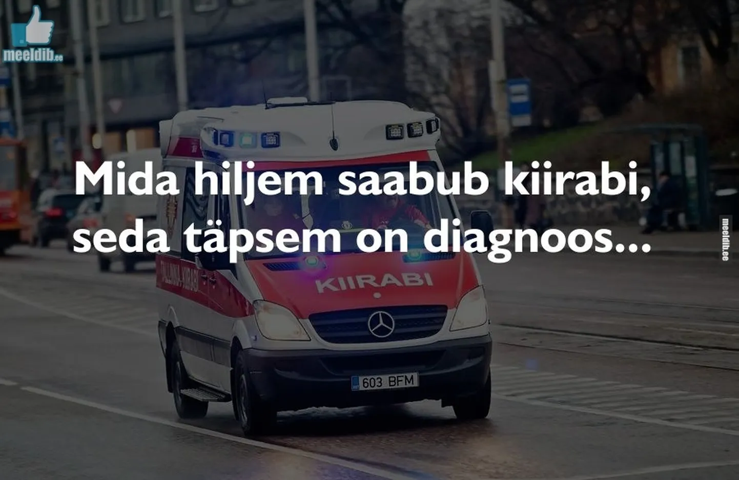 Artikli foto