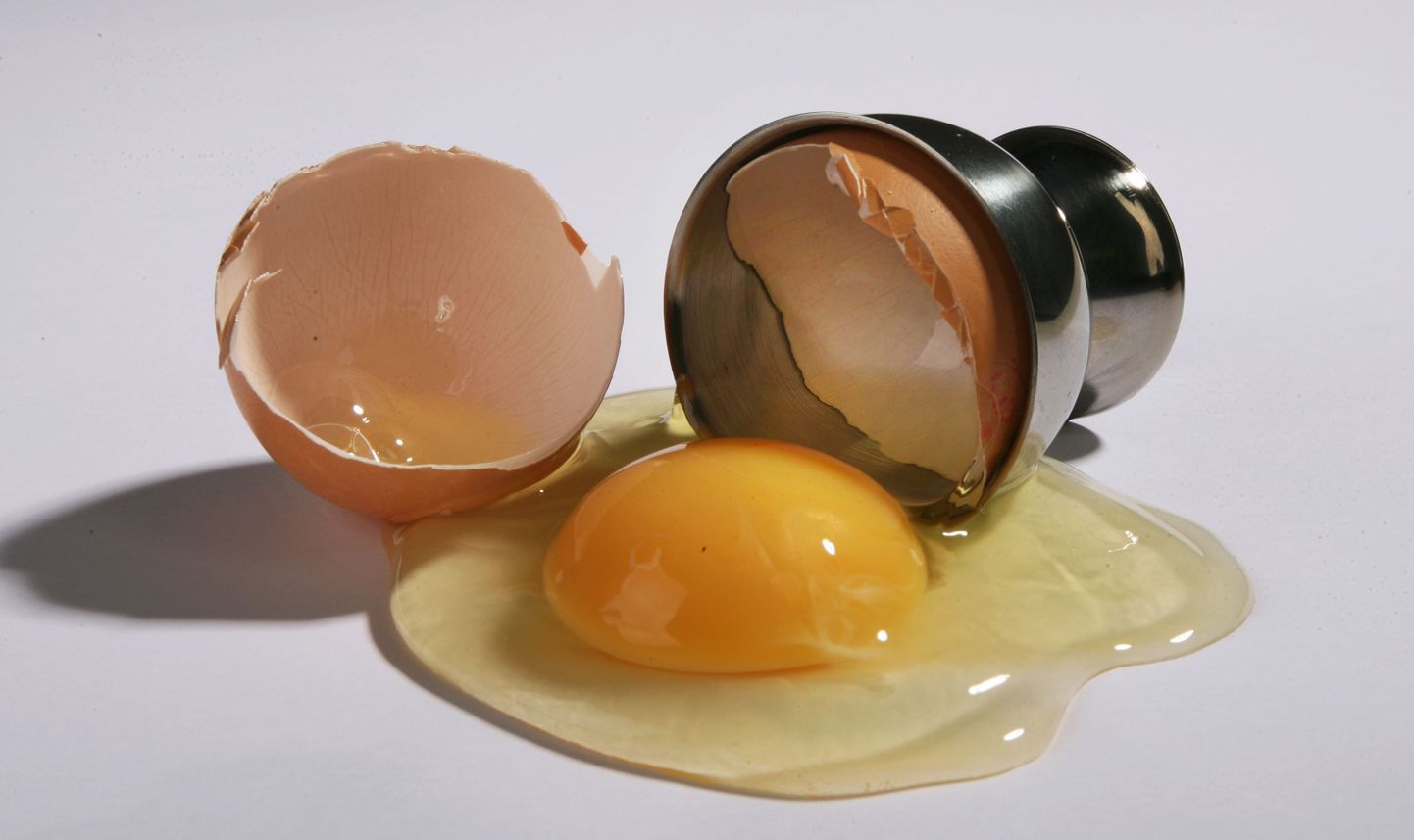 Сырое яйцо. Снимок иллюстративный.