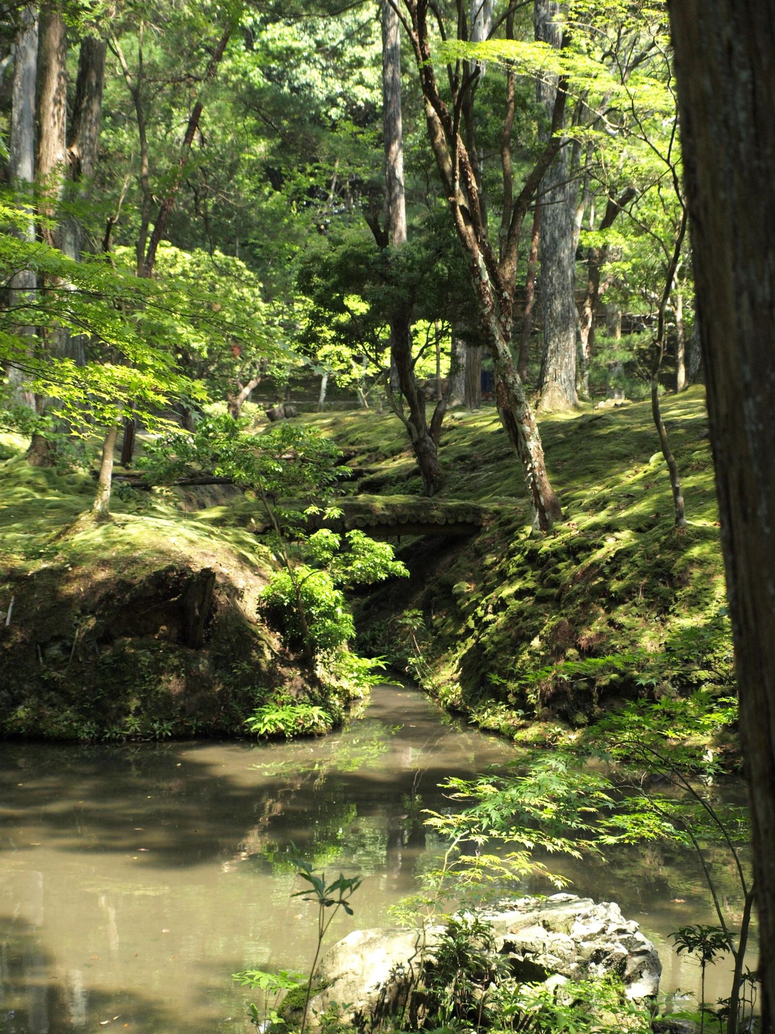 Jaapanis Saiho-ji samblatemplis kasvab 1,8 hektaril üle 100 liigi sammaltaimi ja samblikke.