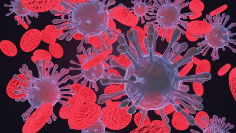 Эстонские ученые познакомят с разработками в области борьбы с коронавирусом