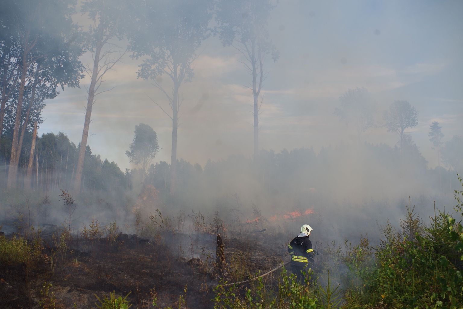 Esialgsetel andmetel oli tulest haaratud umbes hektar metsamaad, kuid põleng levis tugeva tuule abil kiiresti edasi.