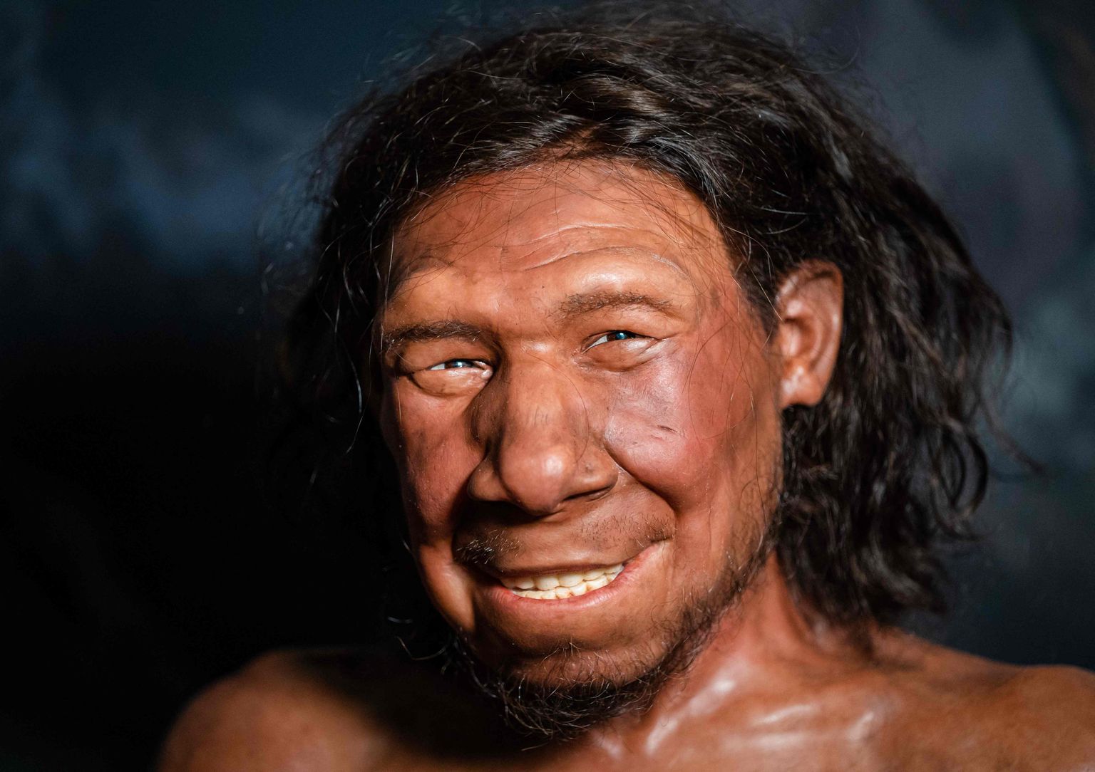 Hollandi rannalt leitud neandertallase koljuosa järgi tehti büst. Neandertallane sai nimeks Krijn