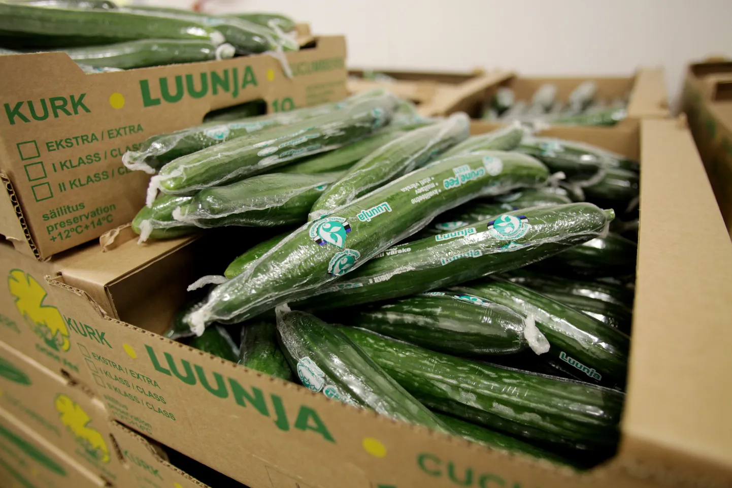 Luunja kurgid.