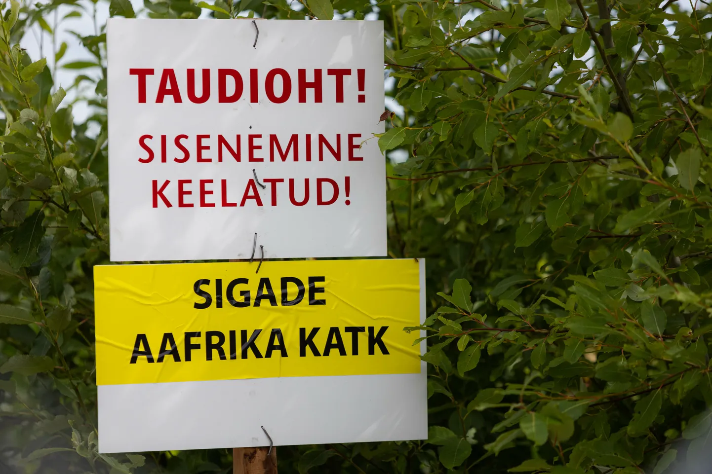 Loomapidajatel tasub olla üliettevaatlik.