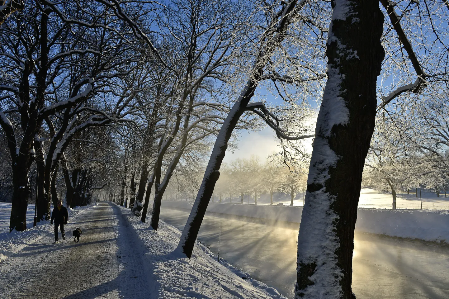 Talvine Stockholm