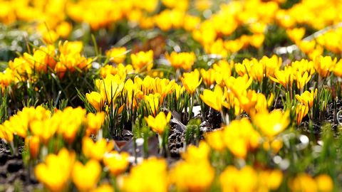 Nākamnedēļ gaidāmi mainīgi laikapstākļi
