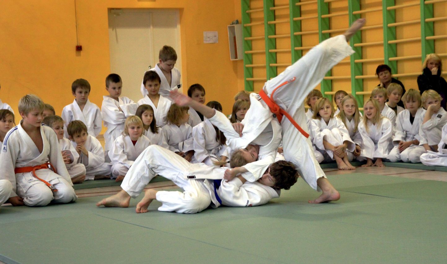 Judo. Foto on illustratiivne.