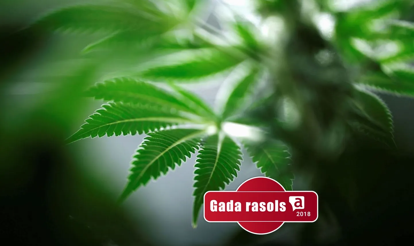 Raksta foto
