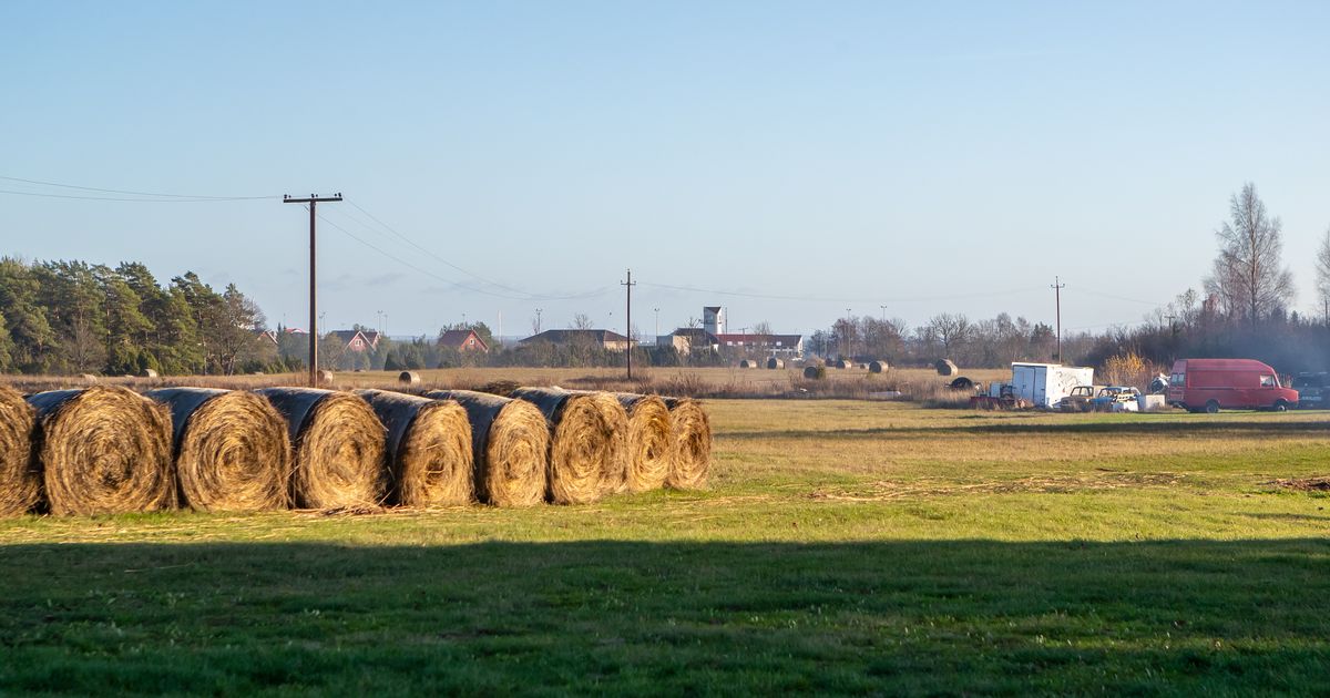 REPORTAAŽ Kuivastu on imeilus küla, mitte lihtsalt sadam Muhumaal