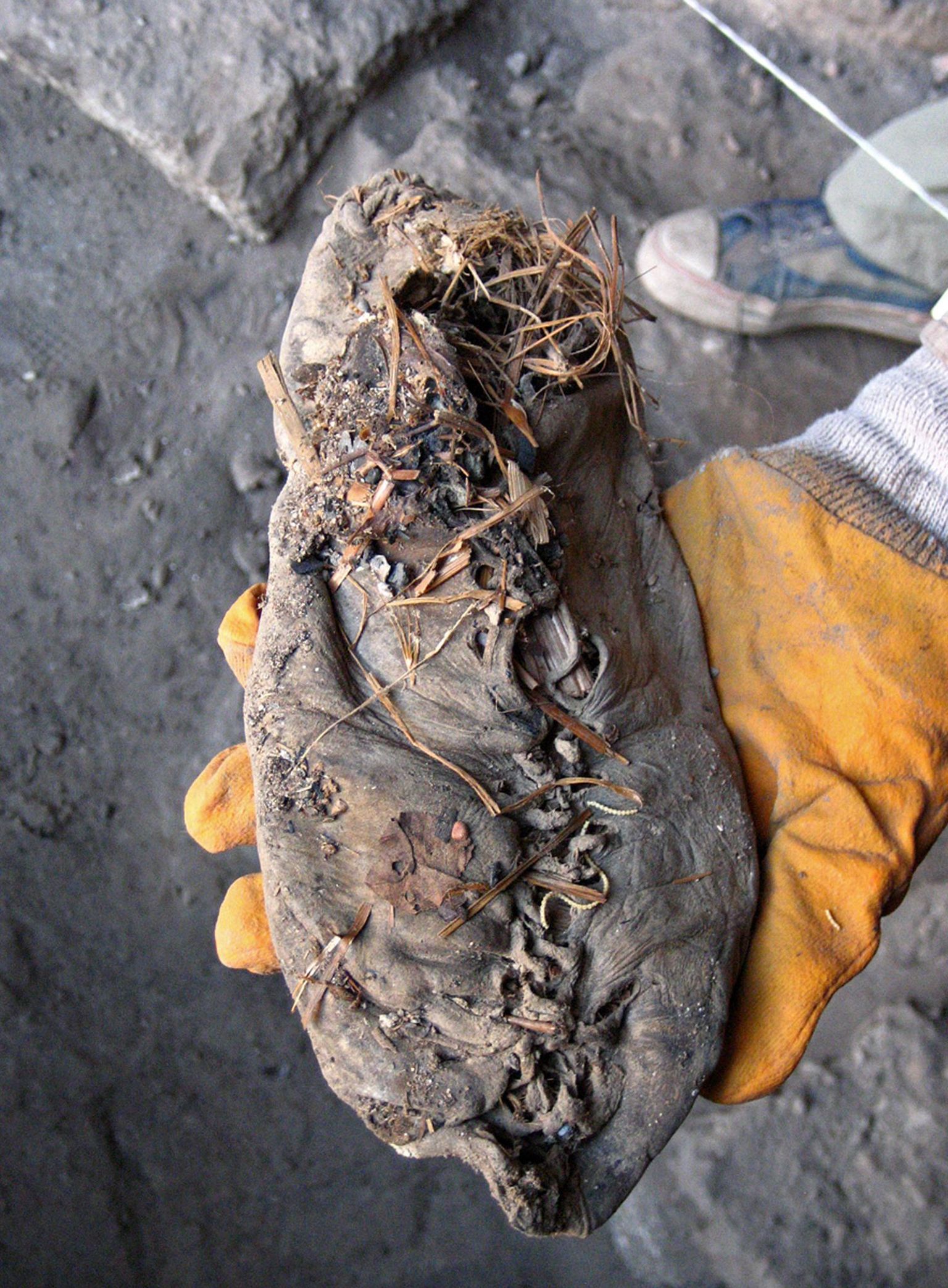 Armeeniast leitud 5500 aasta vanune jalats