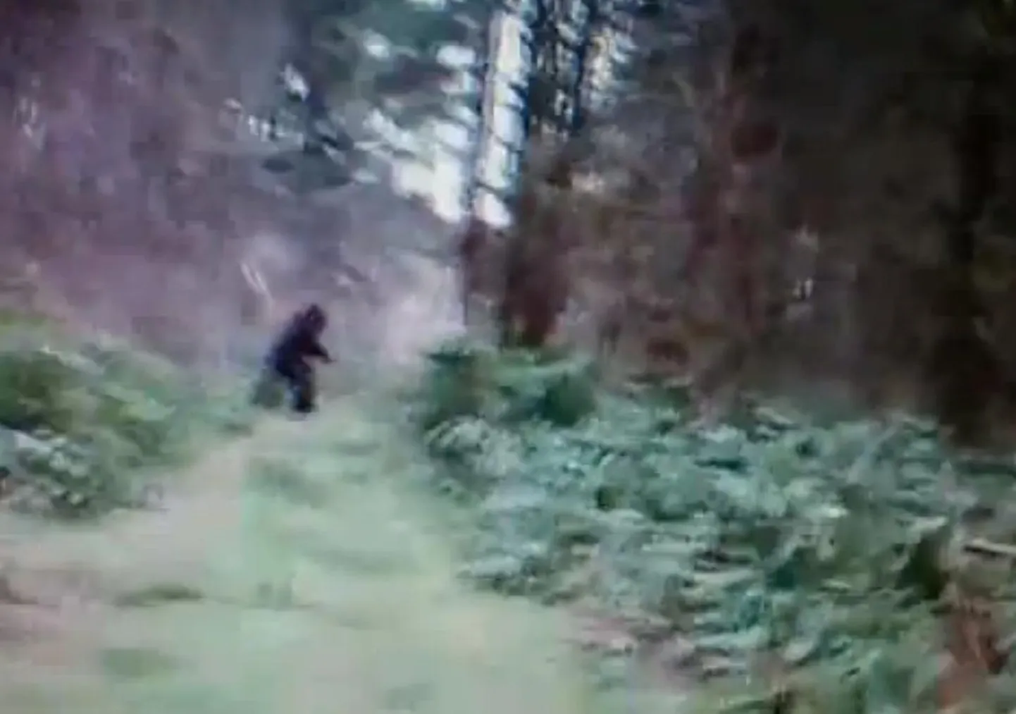Ohio metsas nähti lumeinimest?