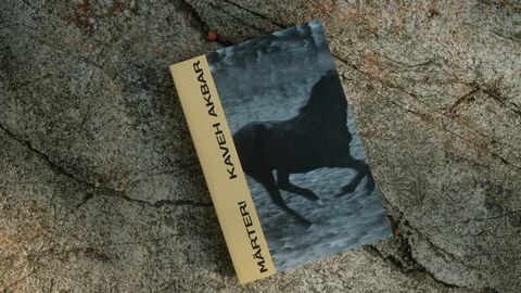 Eesti keeles ilmus üks viimaste aastate enim kiidetud Ameerika debüütromaane