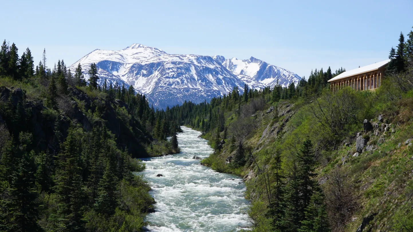 Yukon, Alaska kullapalaviku häll