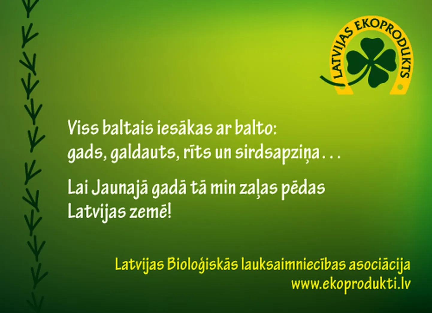 Raksta foto