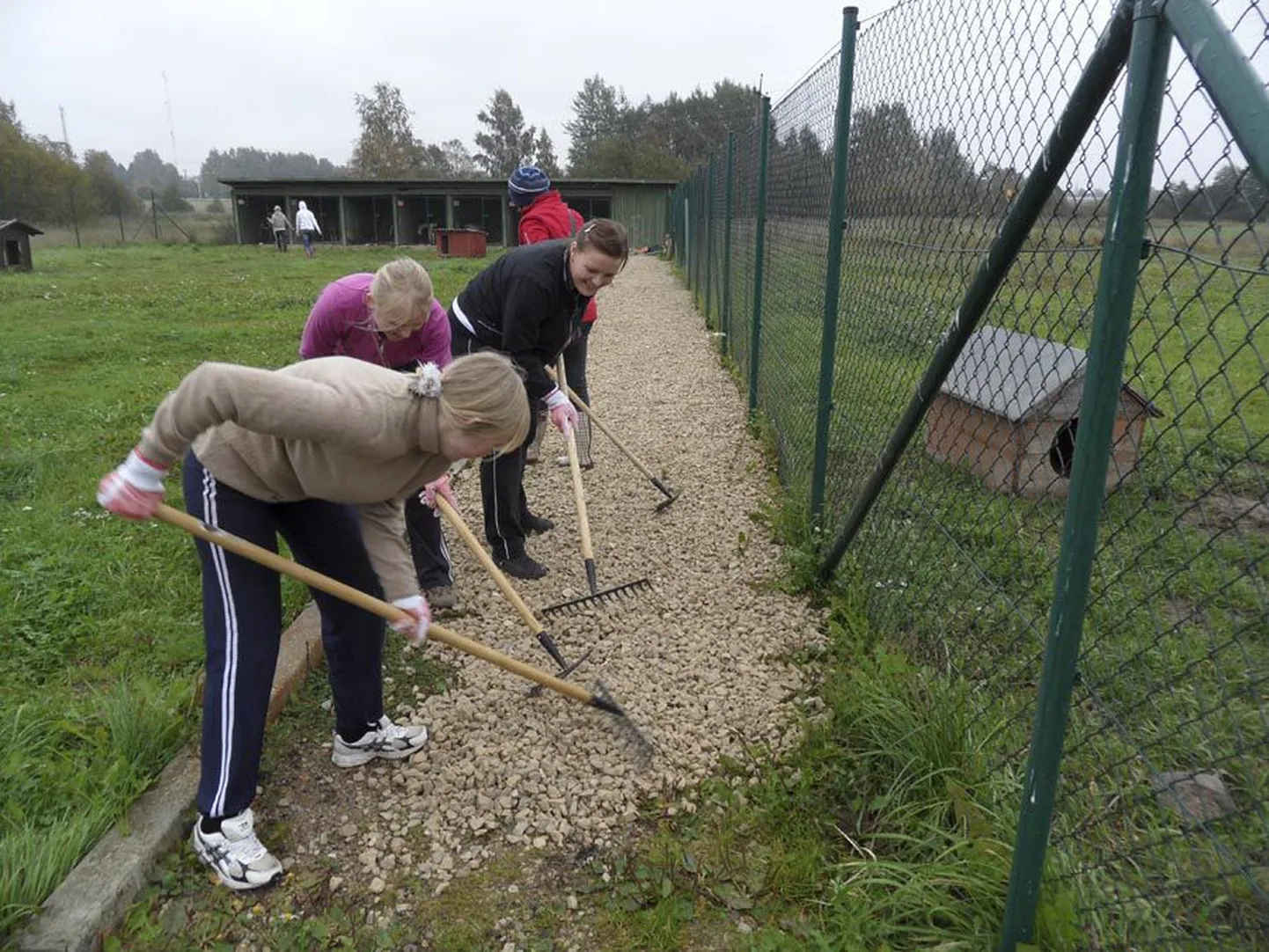Sel nädalal tegutsesid noored vabatahtlikuna Viljandi loomade varjupaigas.