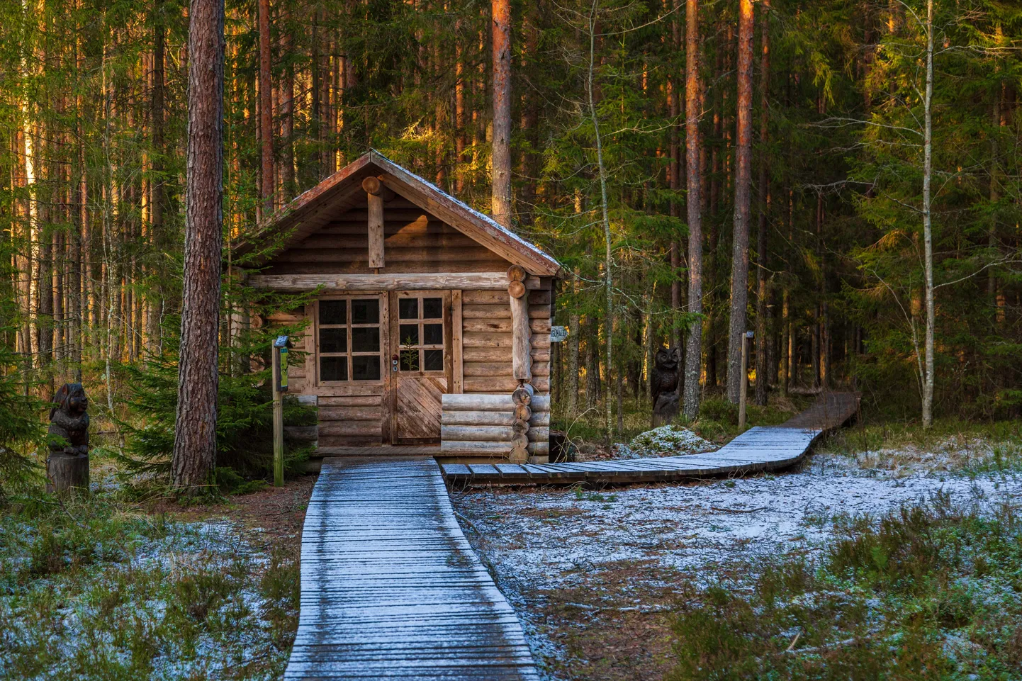 Põlvamaa, Ilumetsa 12.12.2019

Ilumetsa meteoriidikraater Põlvamaal.
Loodus, mets, matkarada, vaatamisväärsus




Foto: Arvo Meeks / Lõuna-Eesti Postimees