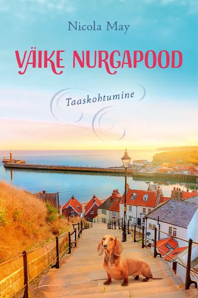 Nicola May, «Väike nurgapood. Taaskohtumine».