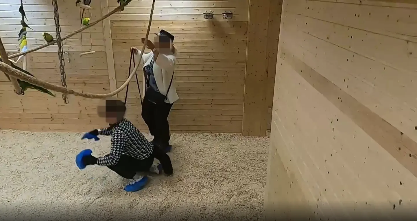 Бабушка с внуком-квадробером в контактном зоопарке Papagoide Paradiis.