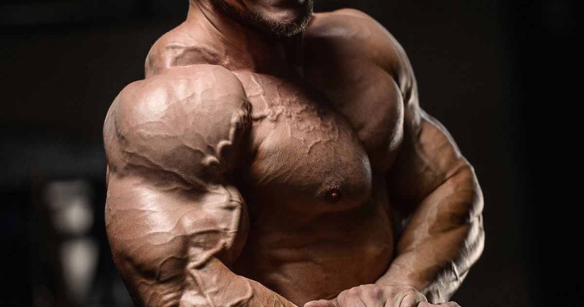 �������� ��������� ������������: ����.