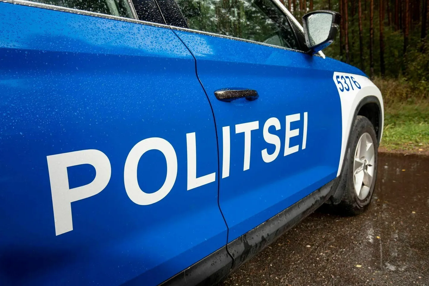 Politseiauto. Foto on illustreeriv.