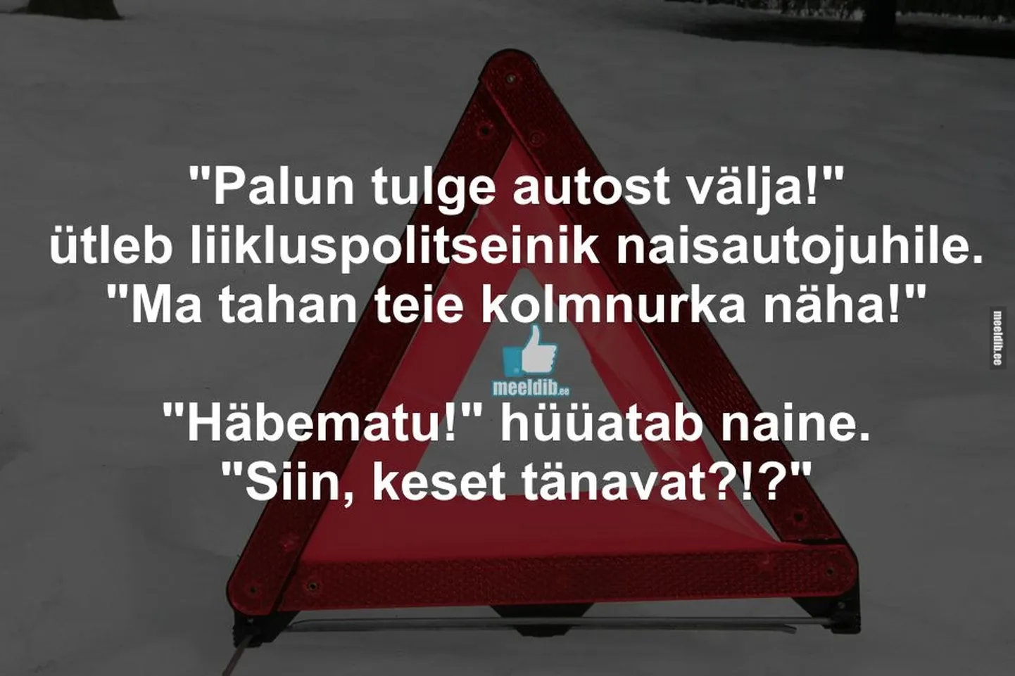 Artikli foto