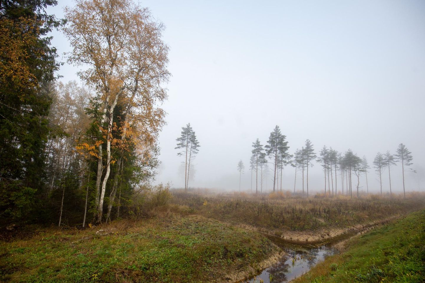 Eestimaa talv pakub endiselt soojakraade.
